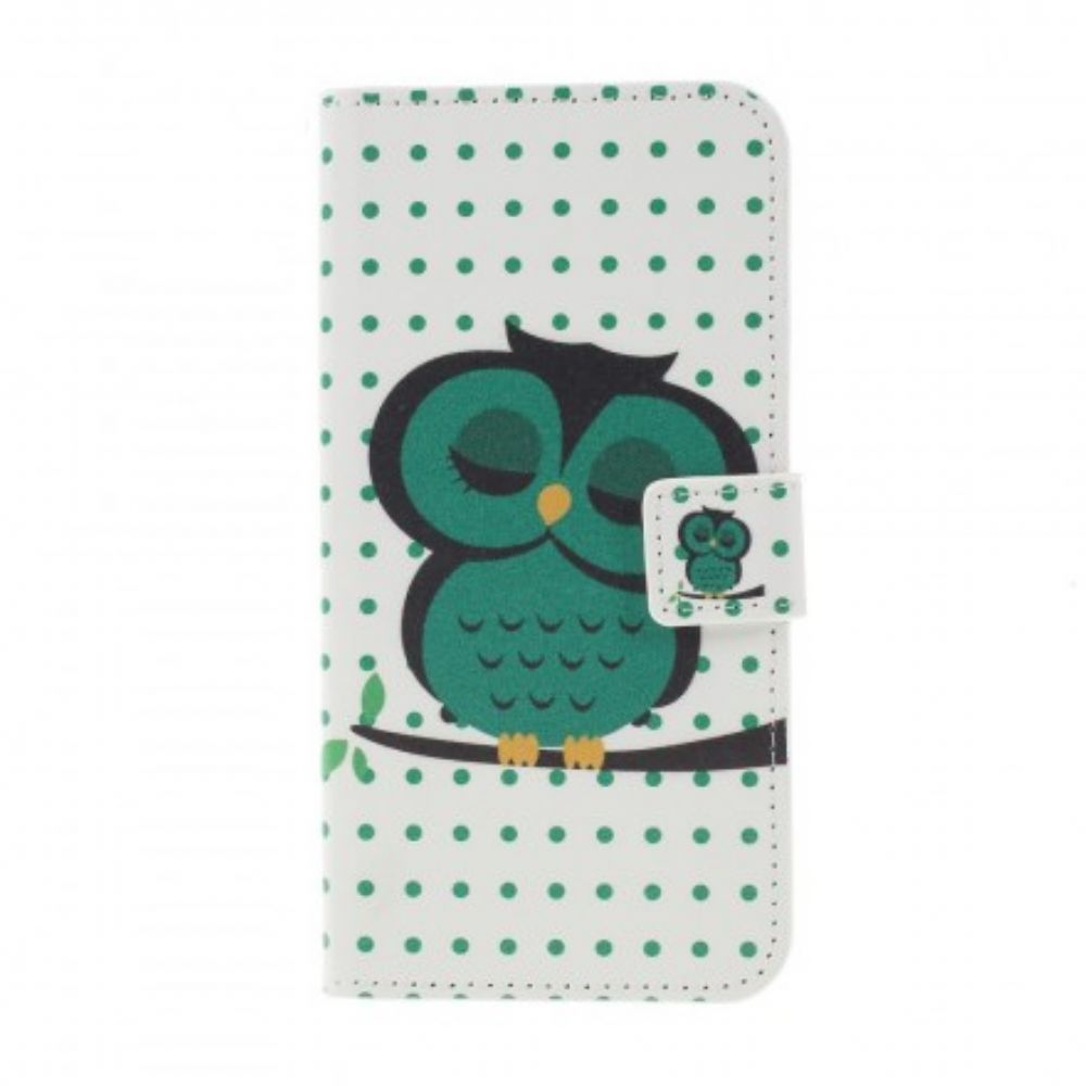 Flip Case Für Samsung Galaxy S10 Plus Schlafende Eule